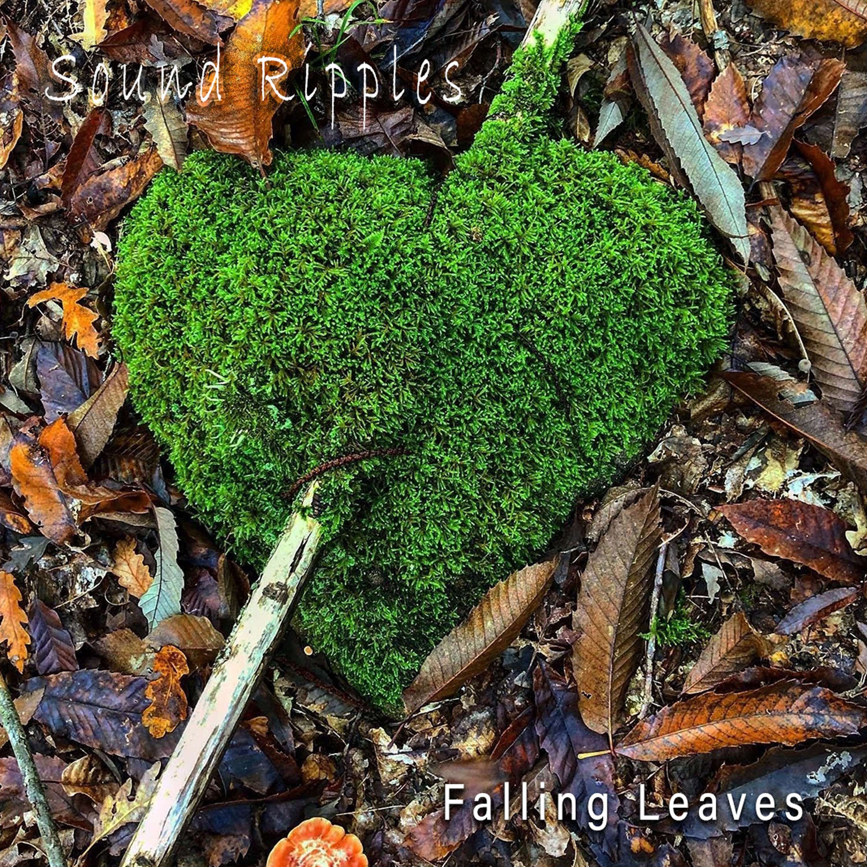 Sound Ripples - Falling Leaves